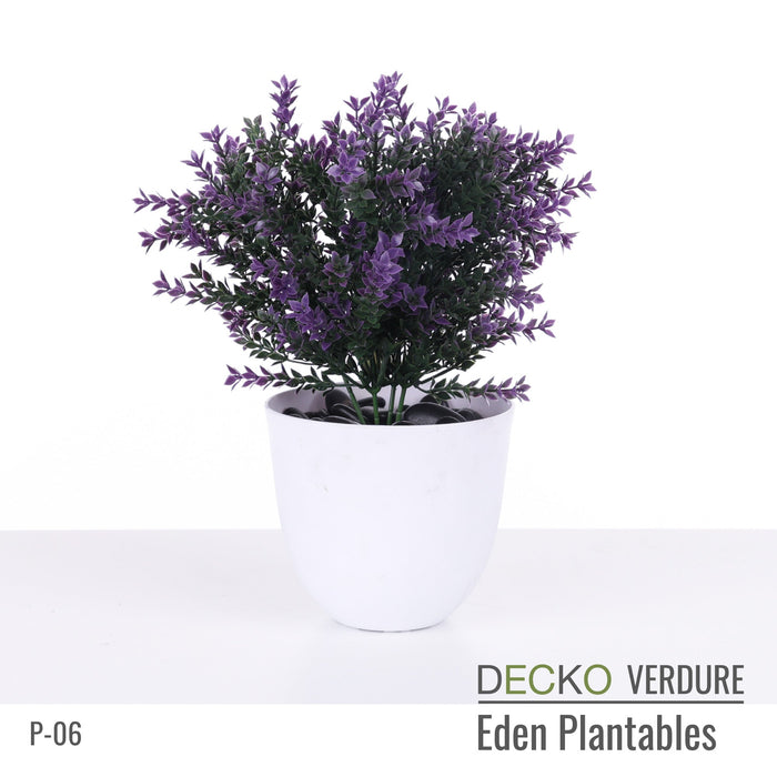Wholesale: Box of DECKO Verdure Eden Plantables - DAHLIA - FOB Shanghai. MOQ 1 Pallet = 90 boxes (Price/Box)