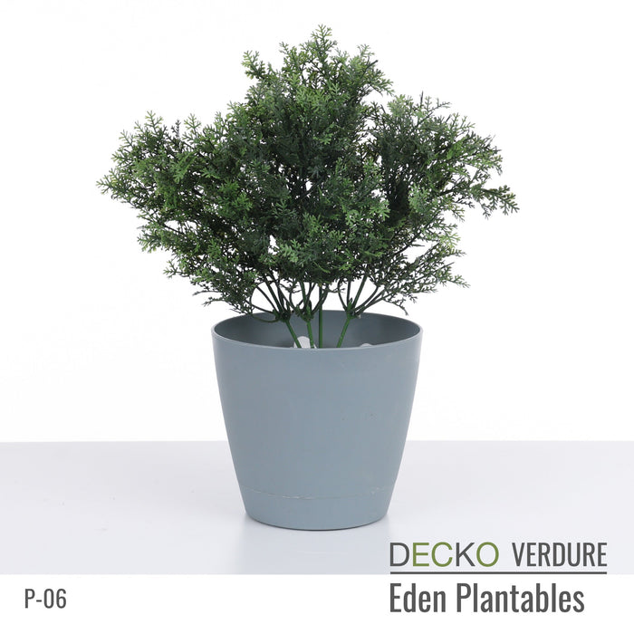 Wholesale: Box of DECKO Verdure Eden Plantables - DAHLIA - FOB Shanghai. MOQ 1 Pallet = 90 boxes (Price/Box)