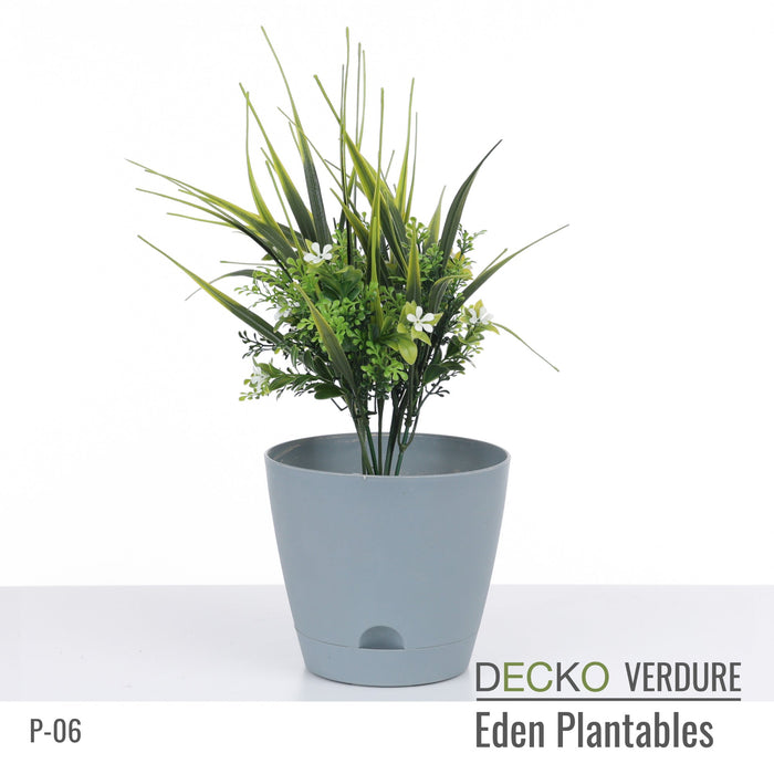 Wholesale: Box of DECKO Verdure Eden Plantables - DAHLIA - FOB Shanghai. MOQ 1 Pallet = 90 boxes (Price/Box)