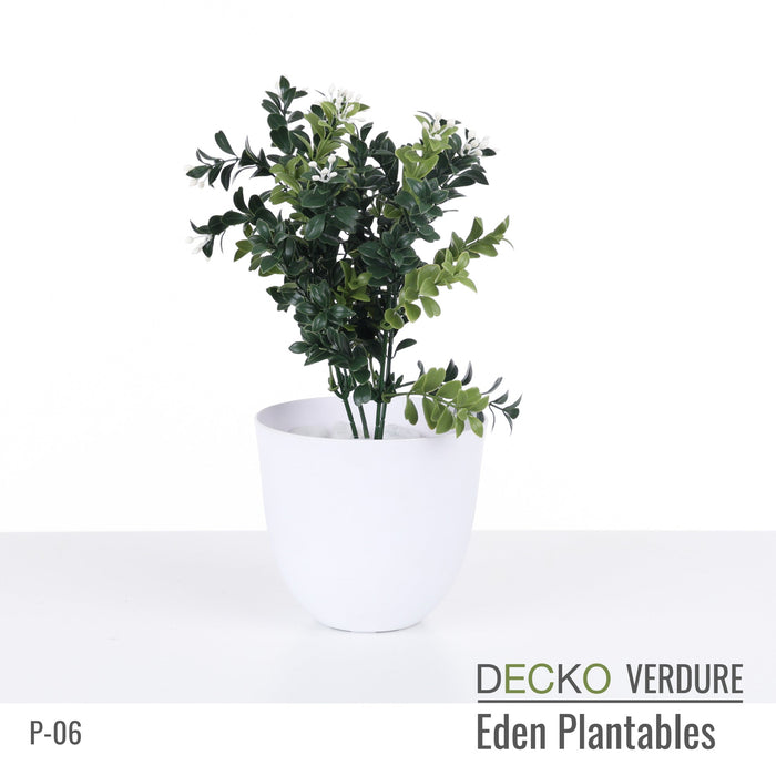 Wholesale: Box of DECKO Verdure Eden Plantables - DAHLIA - FOB Shanghai. MOQ 1 Pallet = 90 boxes (Price/Box)